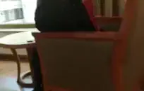 بي بي سي يجعل زوجته بخ ونائب الرئيس.