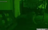 أستاذ بنجلاديش خبطت الفرخ الهندي.