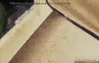 يحصل الديوث على رؤية نائب الرئيس في الفم ووجه زوجين ساخنين.