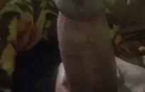 مص قضيبي حتى أفشل بينما أمي في المنزل.