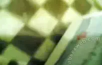 آلهة ألورا جنسن هي إلهة السرير