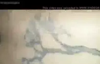 أحمر الشعر وشم تمتص الديك ويبتلع في إجازة.