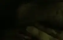 لقد ضاجعت صديقي بينما كانت والدتها في الغرفة الأخرى.