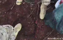 كبير الثدي جبهة تحرير مورو الإسلامية اللسان. فيد كامل في porncams.