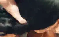 زوجتي تحب الحصول على هذا الجوز على قضيبي.