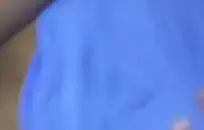 بلدي مثير فرنك غيني يلعب مع ديك بلدي.