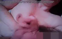 خمسة عسل عظم واحد المتأنق الصعب