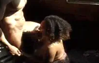 مفلس كبير ديك طرفة عين الرجيج قبالة.