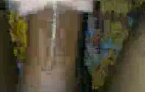 مثير جبهة تحرير مورو الإسلامية اللعب مع دسار لها والحصول على نائب الرئيس.