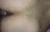 مشعرات الحمار ضيق مع الهزاز.