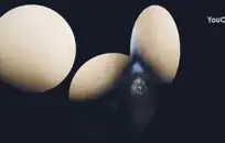 صغيرتي ياسمين جاي لديها قضيب كبير وحلق عميق.